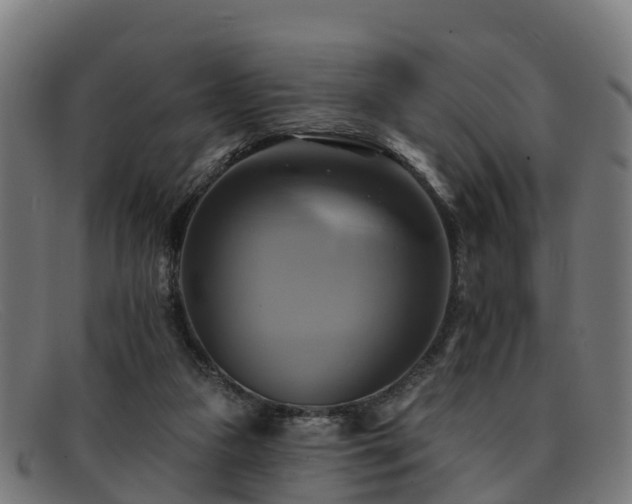 X0000091910161200709121524