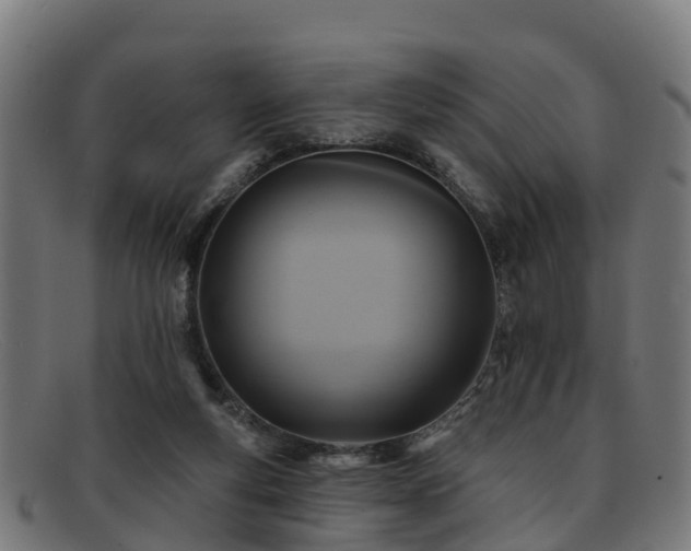 X0000091910163200709121524