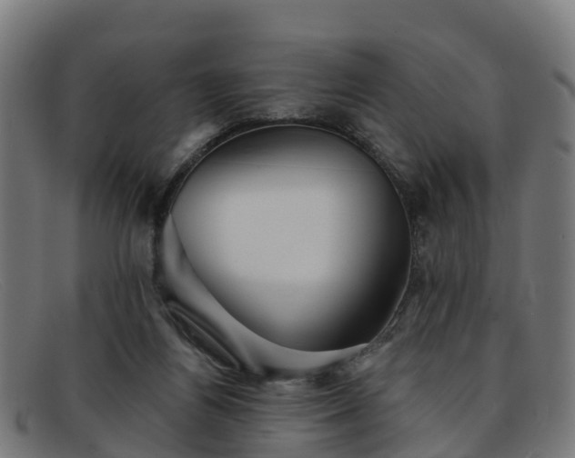 X0000091910164200709121524