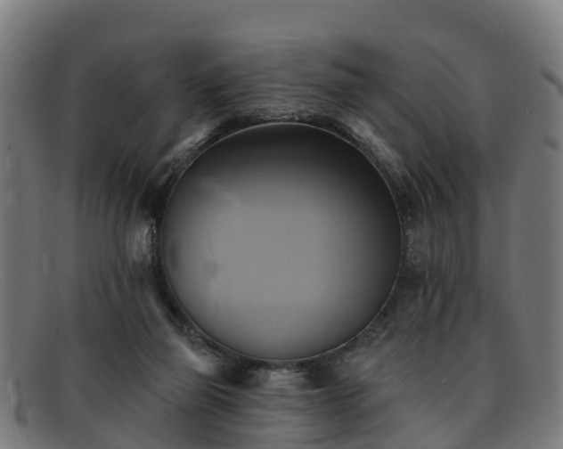 X0000091910165200709121524