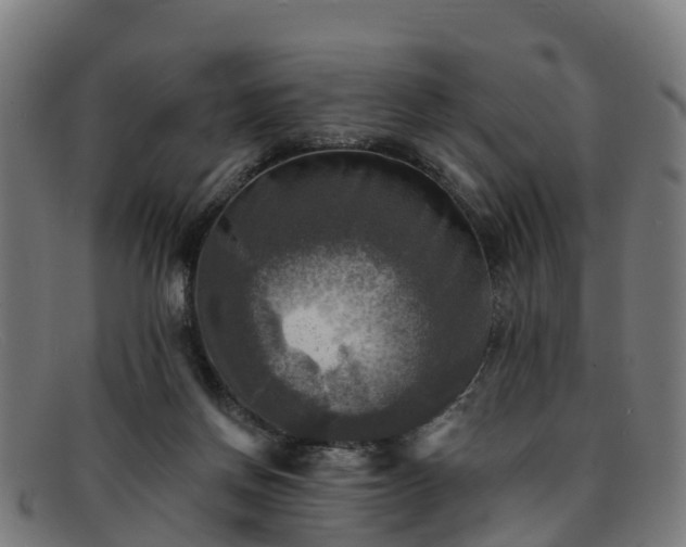 X0000091910166200709121524