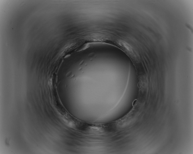 X0000091910167200709121524