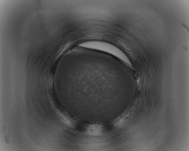 X0000091910168200709121524