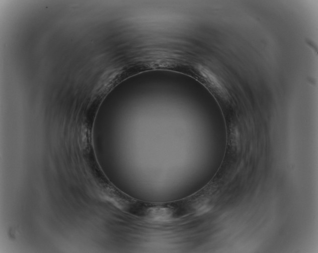 X0000091910169200709121524