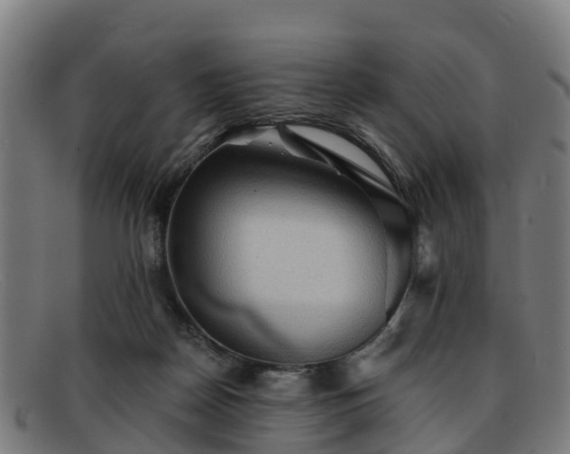 X0000091910170200709121524