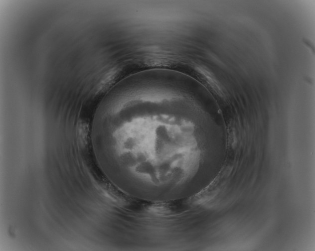 X0000091910171200709121524