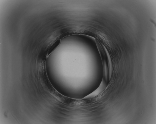 X0000091910172200709121524