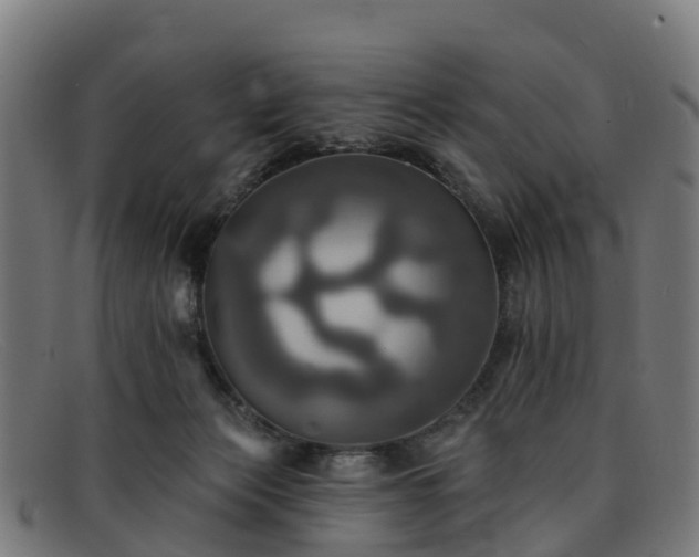 X0000091910173200709121524