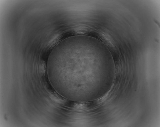 X0000091910174200709121524