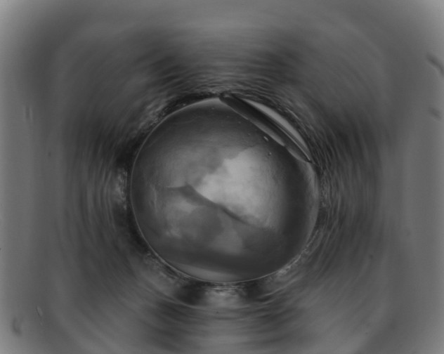 X0000091910175200709121524