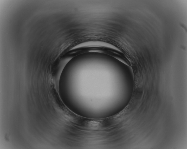 X0000091910176200709121524