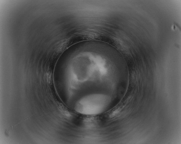 X0000091910177200709121524