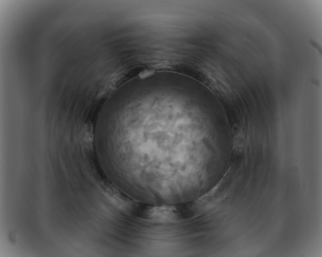 X0000091910179200709121524