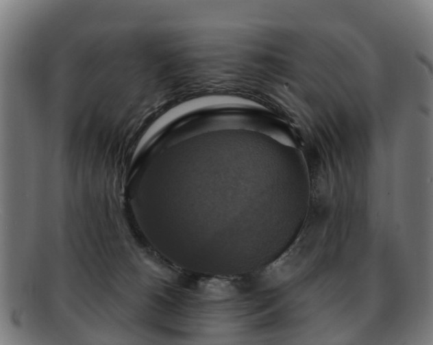 X0000091910180200709121524