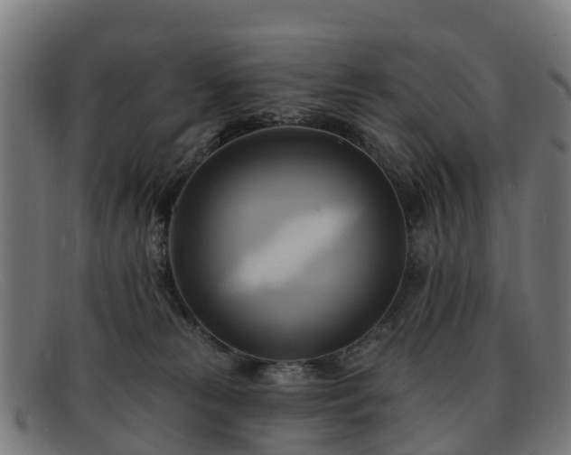 X0000091910181200709121524