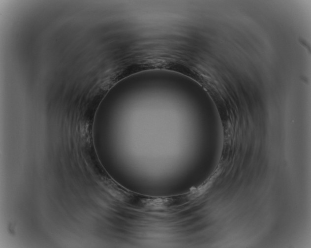 X0000091910182200709121524