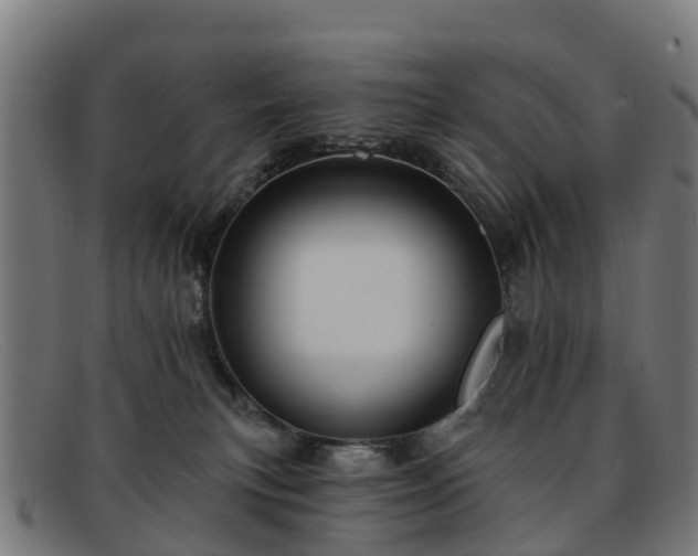 X0000091910183200709121524