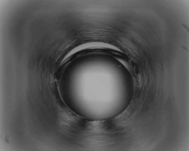 X0000091910184200709121524