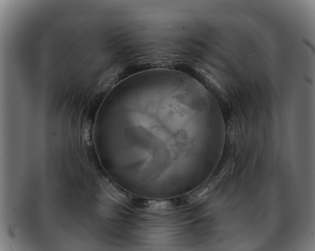 X0000091910185200709121524