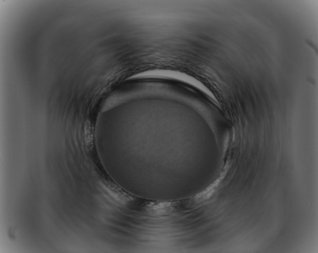 X0000091910186200709121524