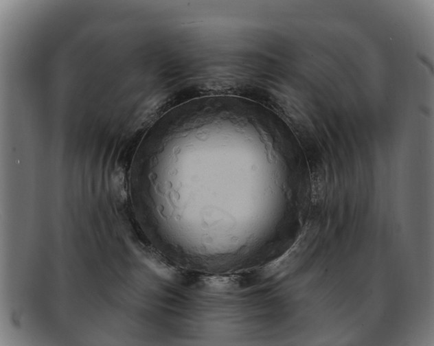 X0000091910187200709121524