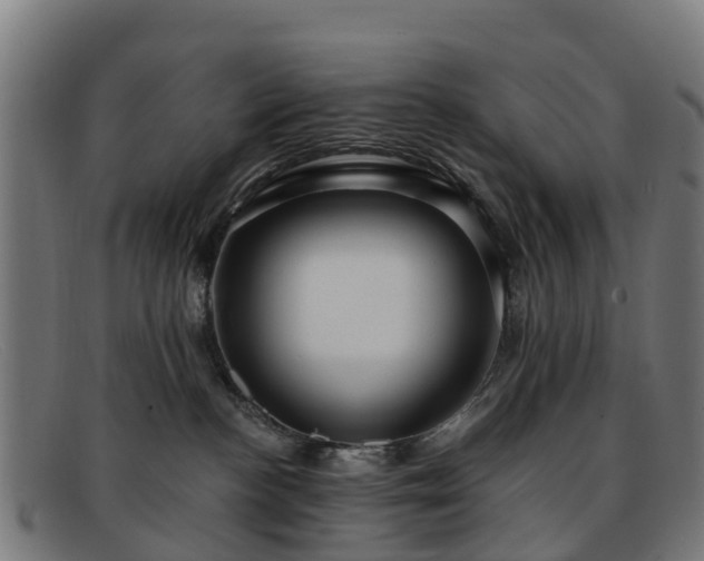 X0000091910188200709121524