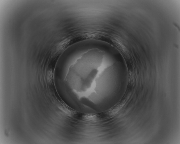 X0000091910189200709121524