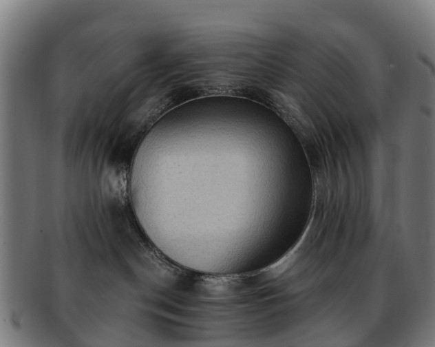 X0000091910190200709121524