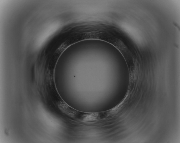 X0000091910191200709121524