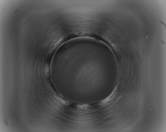 X0000091910192200709121524