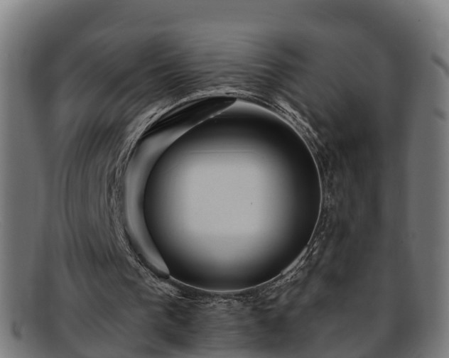 X0000091910193200709121524