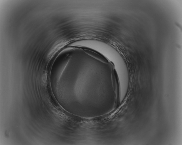 X0000091910194200709121524