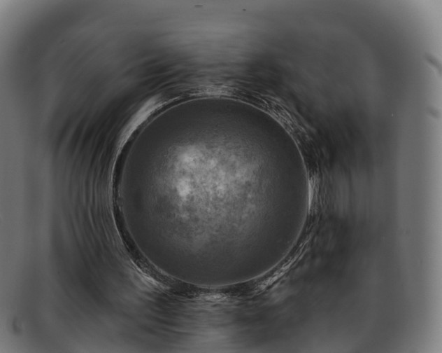 X0000091910195200709121524