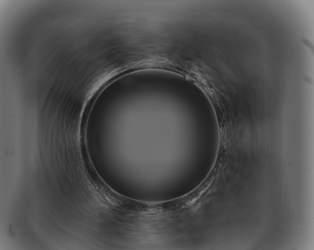 X0000091910196200709121524