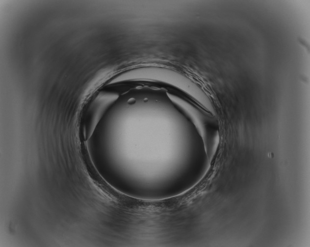 X0000091910197200709121524