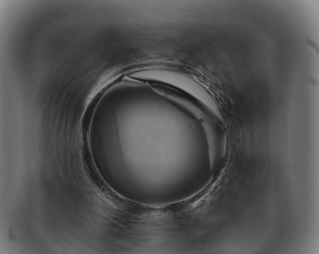 X0000091910198200709121523