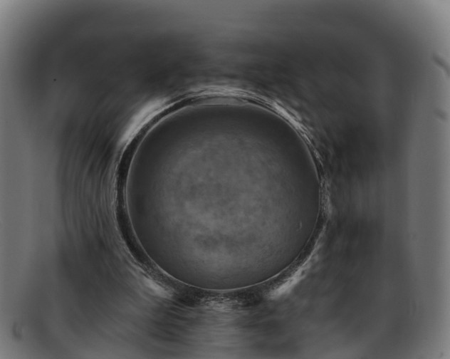 X0000091910199200709121523