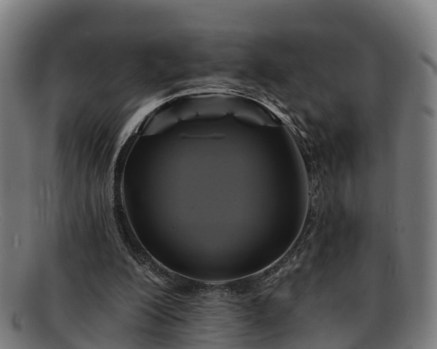 X0000091910200200709121523