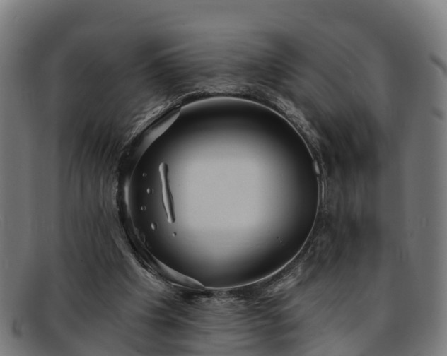 X0000091910201200709121523