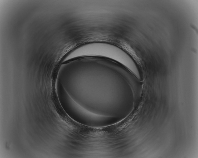 X0000091910202200709121523