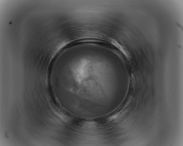 X0000091910203200709121523