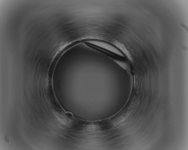 X0000091910204200709121523