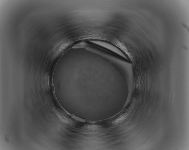 X0000091910205200709121523