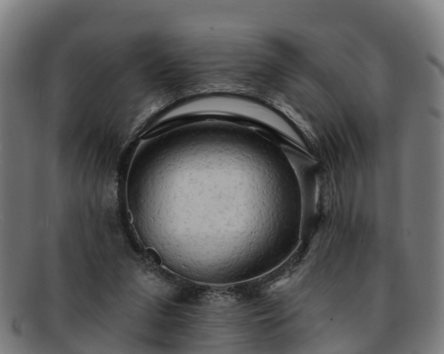 X0000091910207200709121523