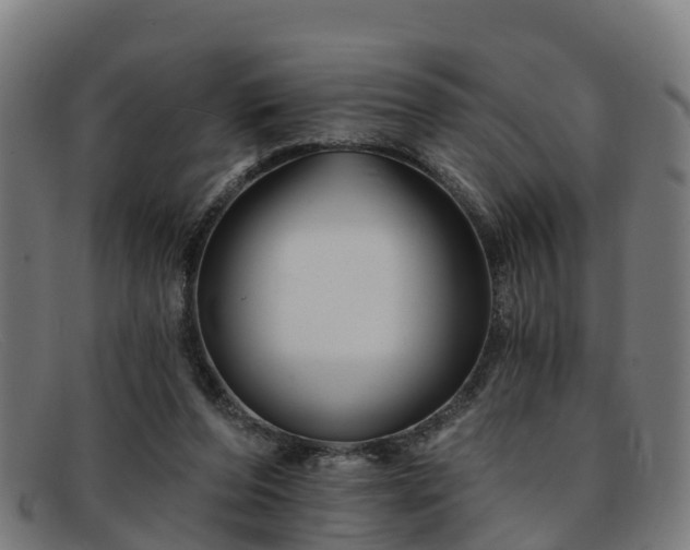 X0000091910208200709121523