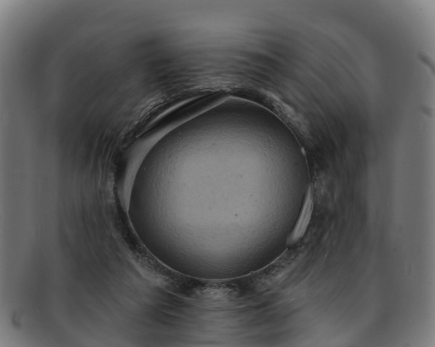 X0000091910209200709121523