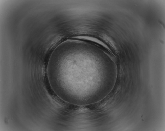 X0000091910210200709121523