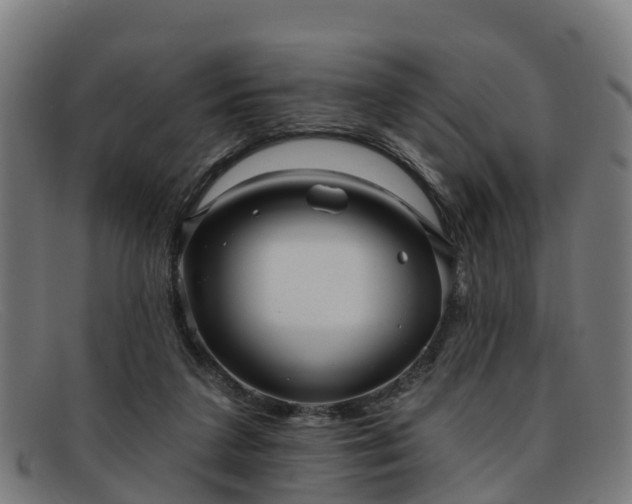 X0000091910211200709121523