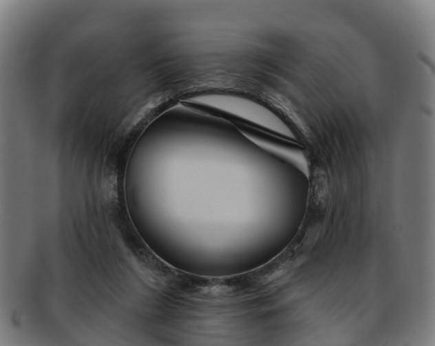 X0000091910212200709121523