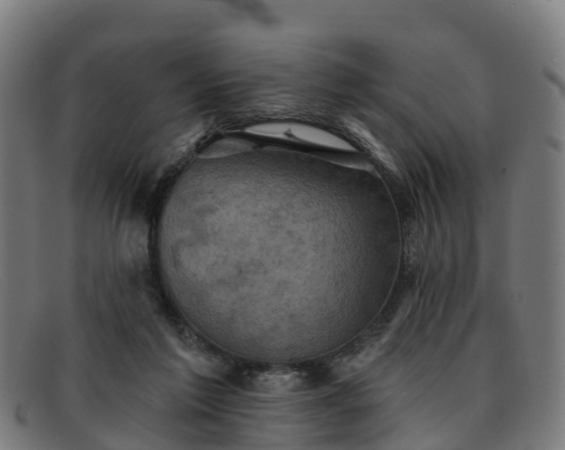 X0000091910213200709121523